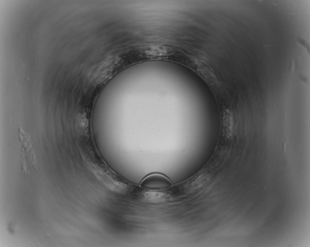 X0000101690614200807171437