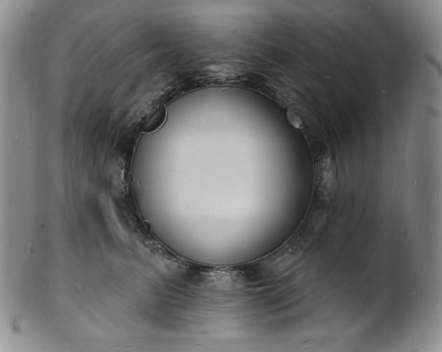 X0000101690615200807171437