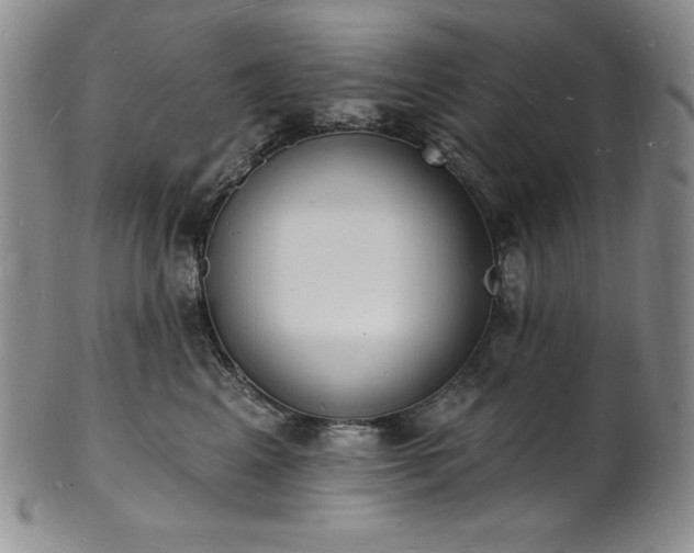 X0000101690617200807171437