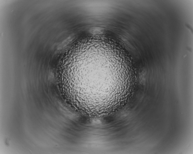 X0000101690618200807171437