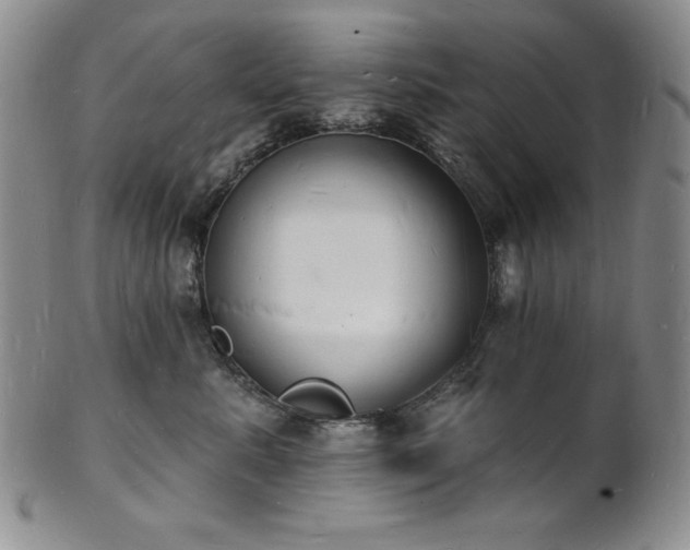 X0000101690619200807171437