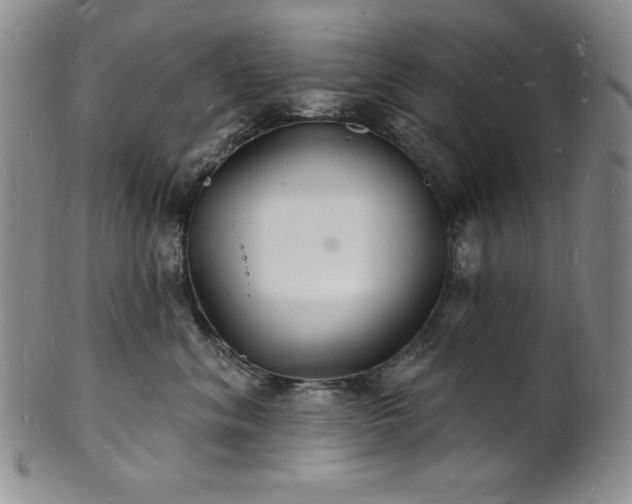 X0000101690620200807171437