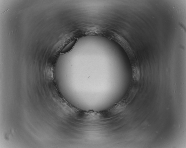 X0000101690621200807171437