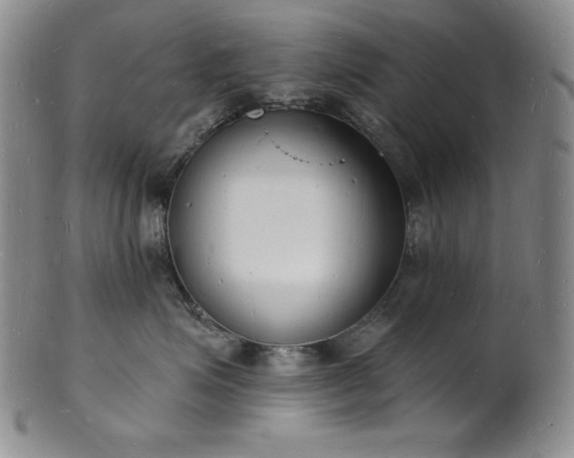 X0000101690623200807171437