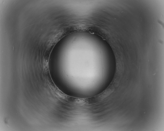 X0000101690624200807171437