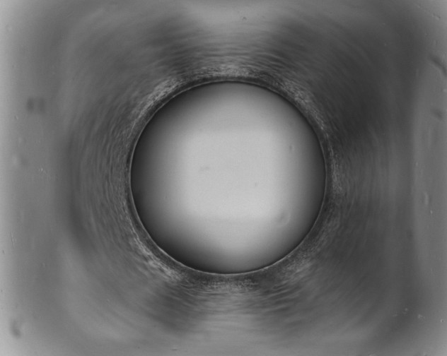 X0000101690625200807171436