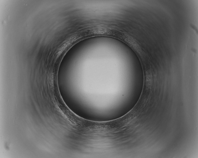 X0000101690626200807171436