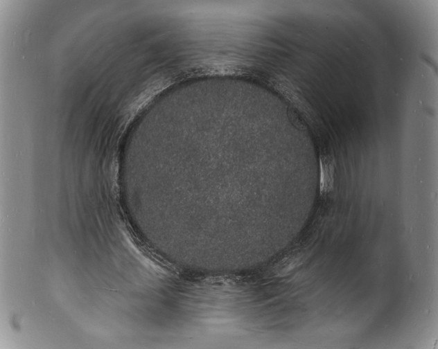 X0000101690627200807171436