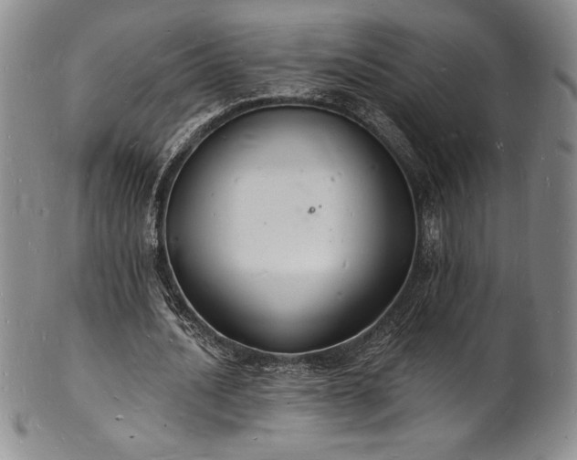 X0000101690628200807171436