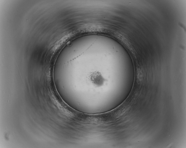 X0000101690629200807171436