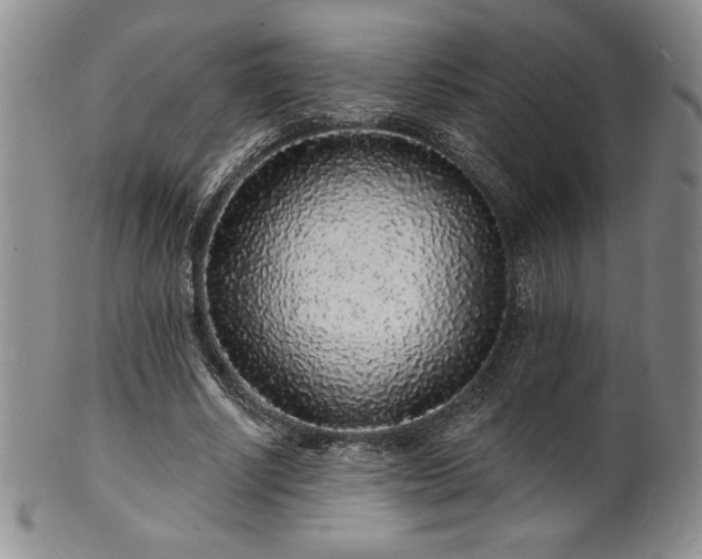 X0000101690634200807171436