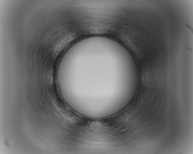 X0000101690635200807171436