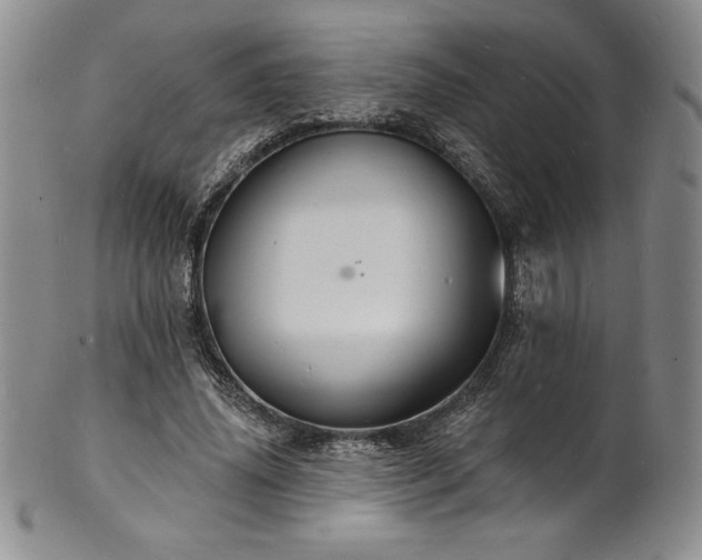 X0000101690636200807171436