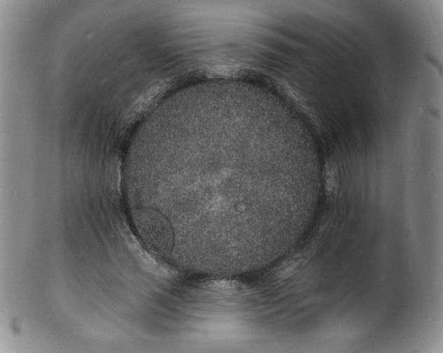 X0000101690637200807171436