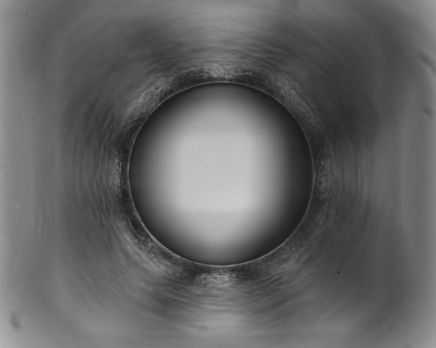 X0000101690639200807171436