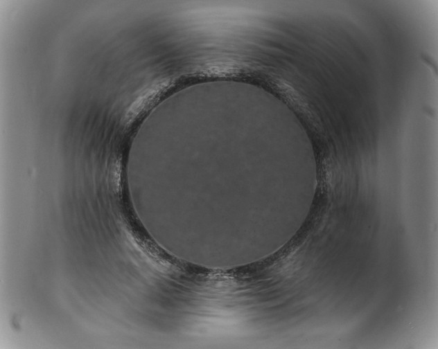 X0000101690640200807171436