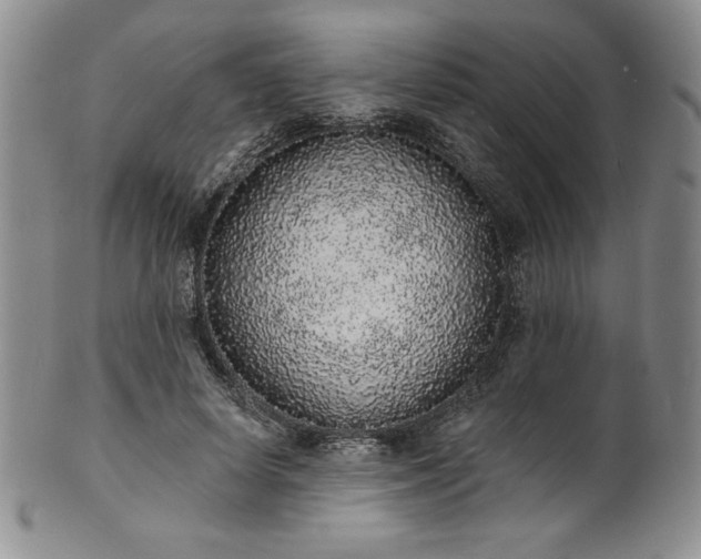 X0000101690642200807171436