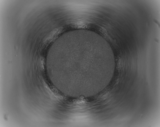 X0000101690643200807171436