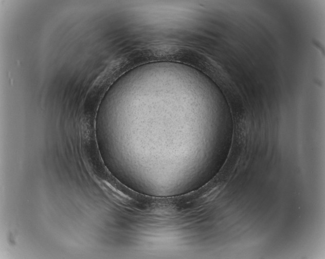 X0000101690644200807171436