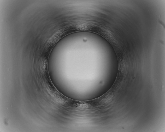 X0000101690645200807171436