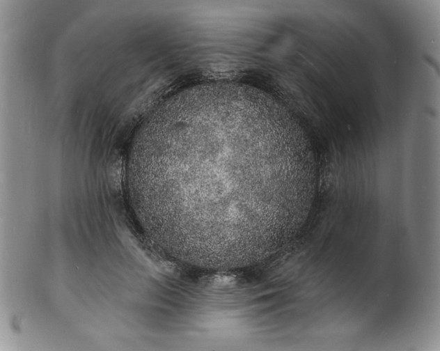 X0000101690647200807171436