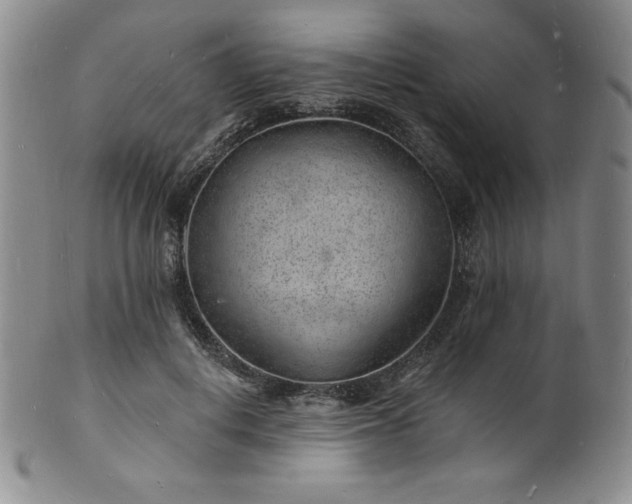 X0000101690648200807171436