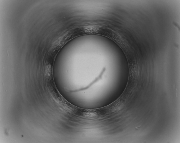 X0000101690649200807171436