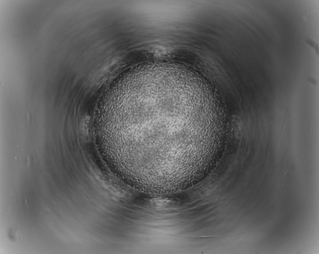 X0000101690650200807171436