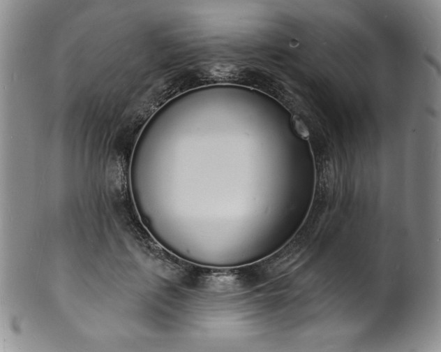 X0000101690651200807171436