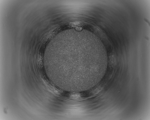 X0000101690653200807171436