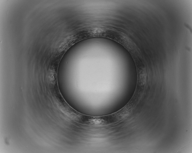 X0000101690654200807171436