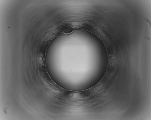 X0000101690655200807171436