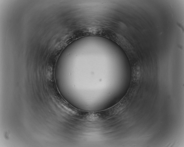 X0000101690656200807171436