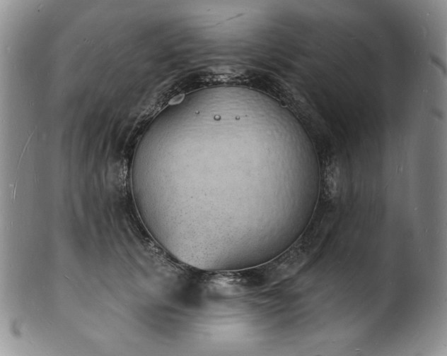 X0000101690657200807171436