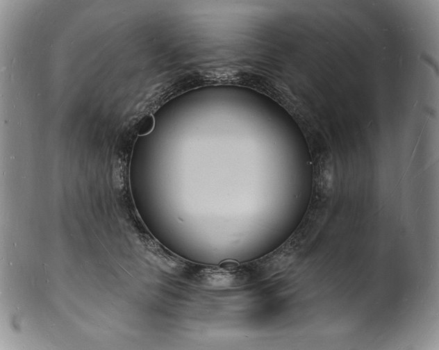 X0000101690658200807171436