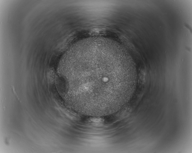 X0000101690659200807171436