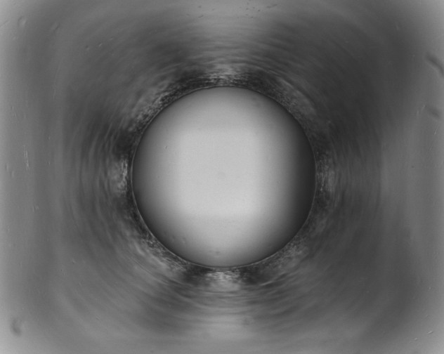 X0000101690660200807171436