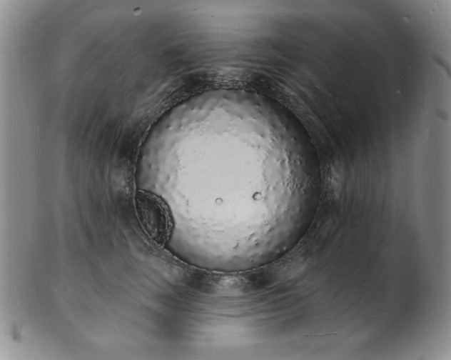 X0000101690663200807171436