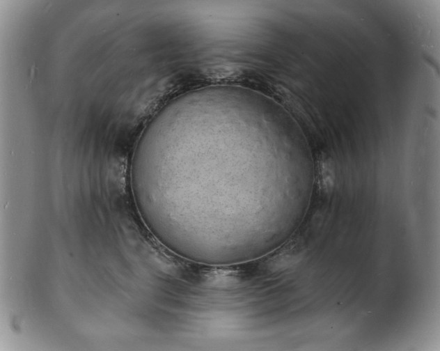 X0000101690664200807171436