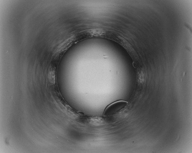 X0000101690666200807171437