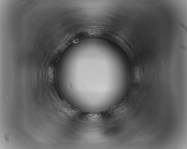 X0000101690667200807171437