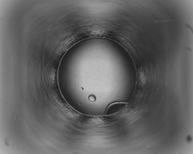 X0000101690668200807171437