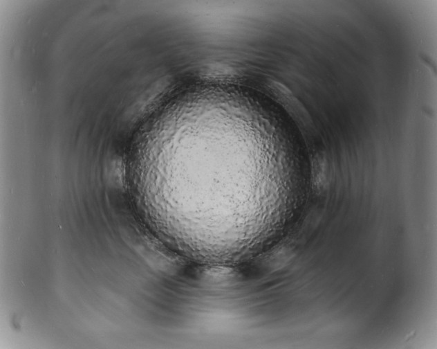 X0000101690669200807171437