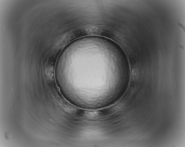 X0000101690671200807171437