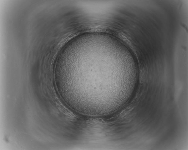 X0000101690673200807171436