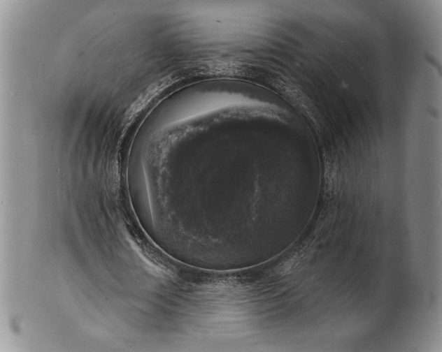 X0000101690674200807171436