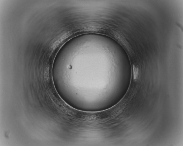 X0000101690675200807171436