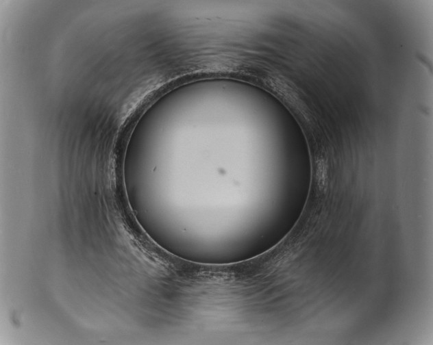 X0000101690676200807171436