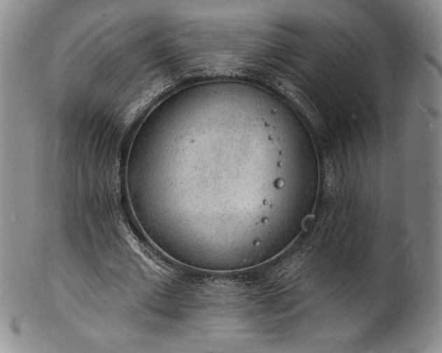 X0000101690677200807171436