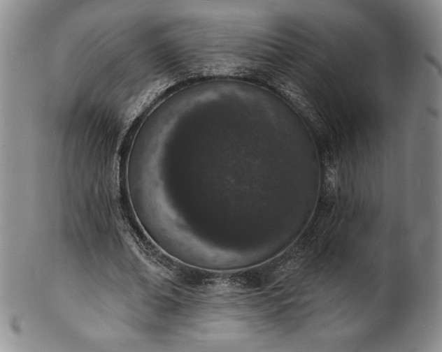 X0000101690678200807171436